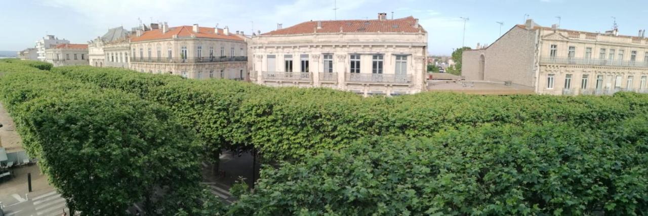 Studio Le Voltaire Sublime & Cosy Proche Gare De Sète Exterior foto